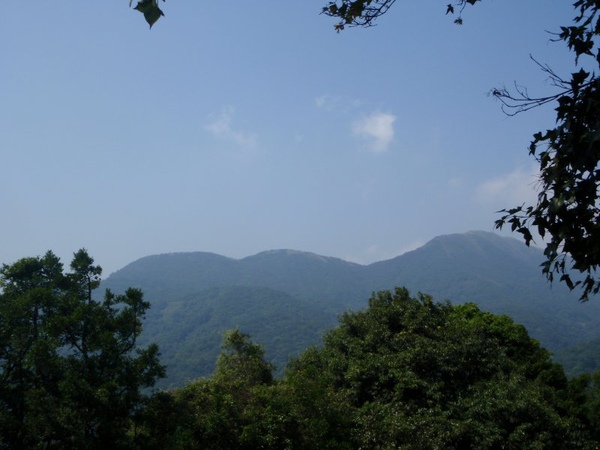 藍天,青山,綠樹-2009.10陽明山輕鬆go