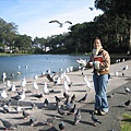 金門公園餵鴿子