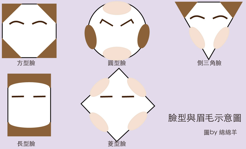臉型與眉毛 臉型與眉毛