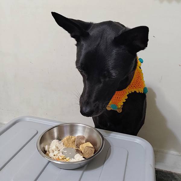 【Doggywillie小犬威利｜COOK冻干点心副食】脆丸