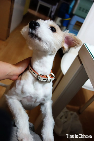 エリ真的很黏人