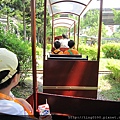 20110810児育中心 019.jpg