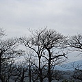 201103 092.jpg