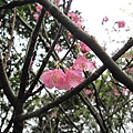 201103 074.jpg