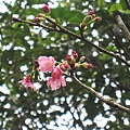 201103 075.jpg