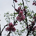 201103 077.jpg