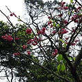 20110306基隆情人湖 092.jpg