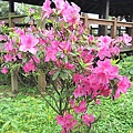 201103 079.jpg