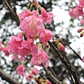 201103 067.jpg