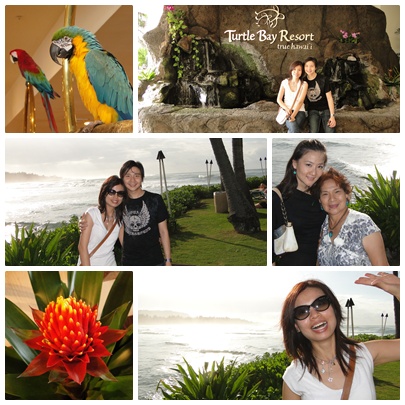 Day 4_Turtle Bay Resort.jpg