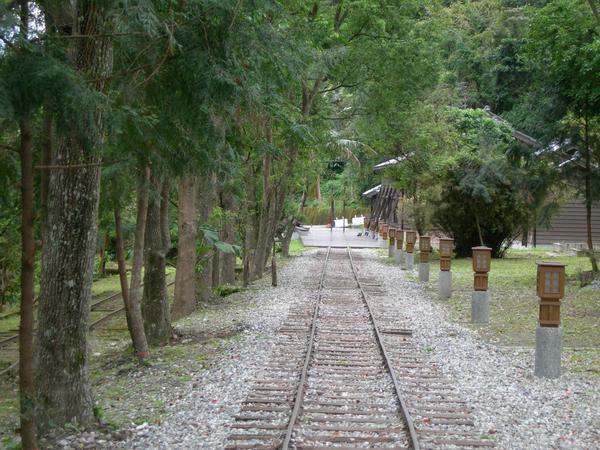 林田山運木頭的小火車軌