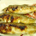 090823-12.jpg
