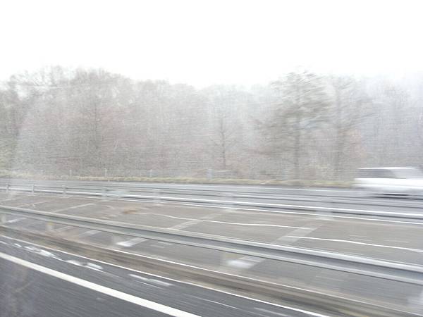 大家看到雪超興奮