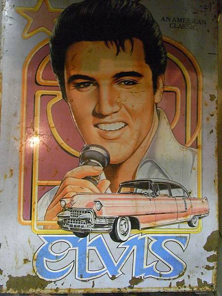 ELVIS