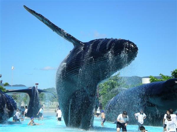 這麼多年他都沒變呢