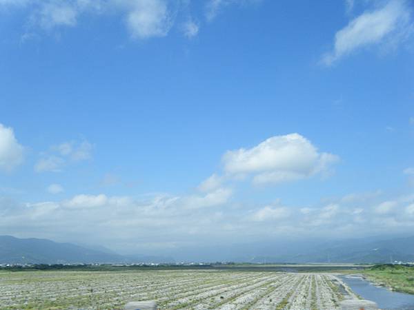 早安！蘭陽溪西瓜田