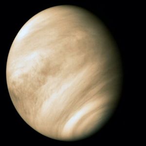 Venus_2009.jpg