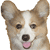 TFR6.gif TFR6.gif