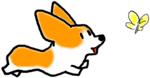 051204a.gif 051204a.gif