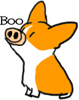 060113b.gif 060113b.gif