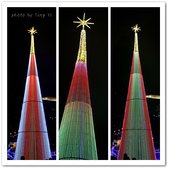 TREE1.jpg TREE1.jpg