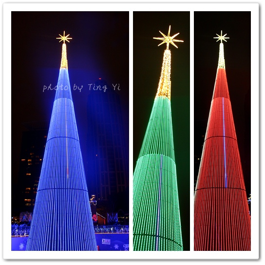 TREE2.jpg TREE2.jpg