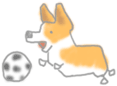 090819a.gif 090819a.gif