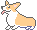corgi314 corgi314
