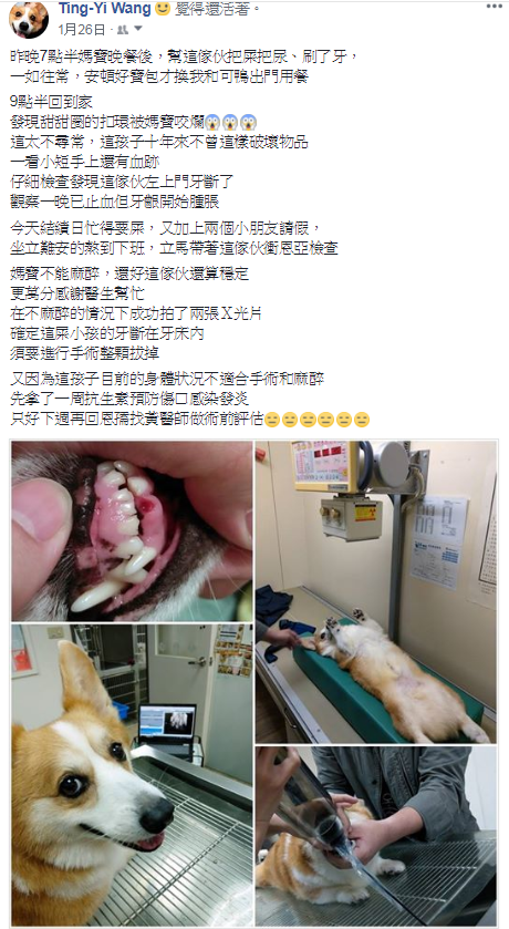 擷取 擷取