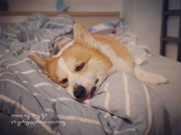 IMG_20181006_044015_192