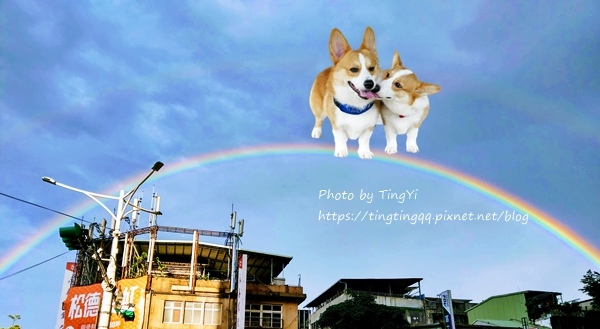 IMAG0030.jpg IMAG0030.jpg