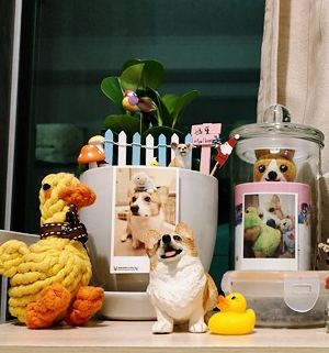 image image