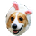 兔子寶包.png 兔子寶包.png