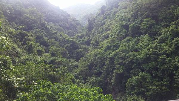 20150702_150149.jpg