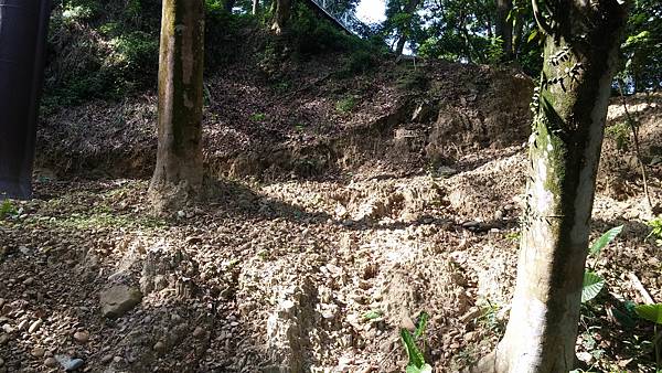 20150628_085339.jpg