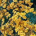 20151124_063041.jpg
