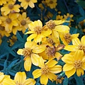 20151124_063053.jpg
