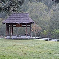 20151124_063606.jpg