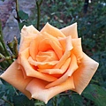 20151124_071812.jpg