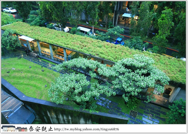 泰安觀止36.JPG
