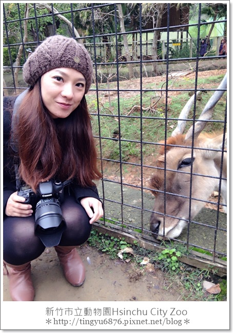 新竹市立動物園03.JPG