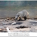 新竹市立動物園14.JPG