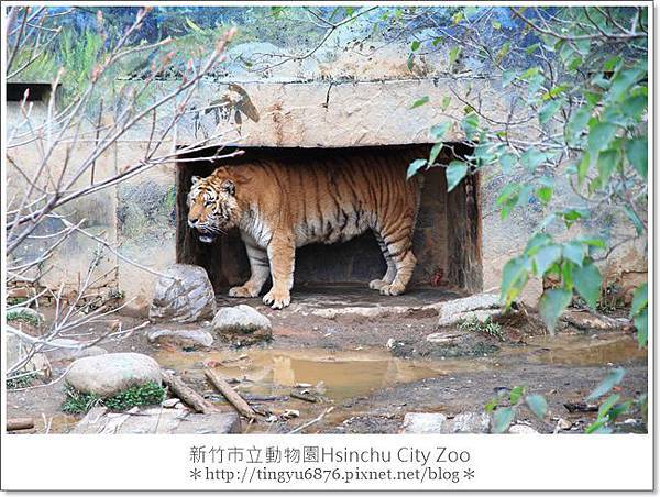 新竹市立動物園32.JPG