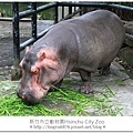 新竹市立動物園49.JPG