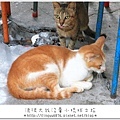 小琉球81.JPG