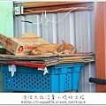 小琉球246.JPG