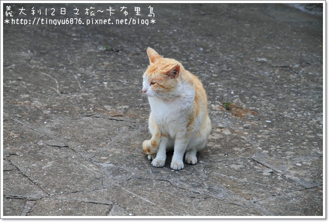 義大利-卡布里島285.JPG