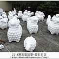 萬金光雕秀31.JPG