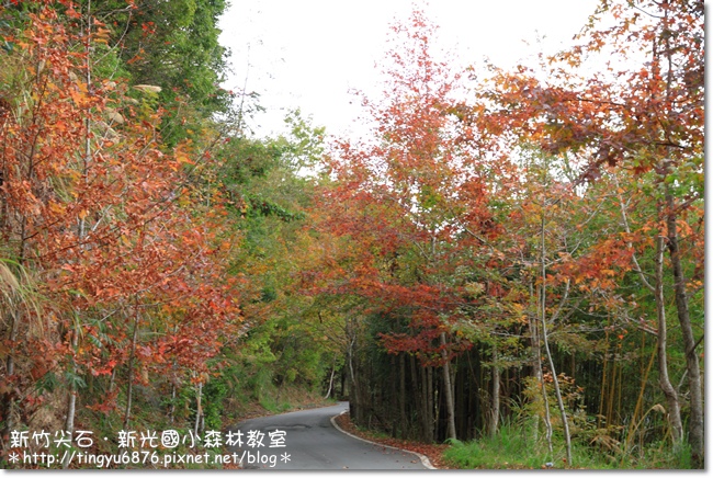 新光國小02.JPG 新光國小02.JPG
