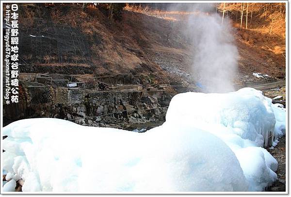 地獄谷野猿公苑43.JPG